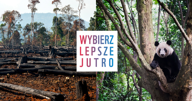 Wybierz lepsze jutro - Klub WWF