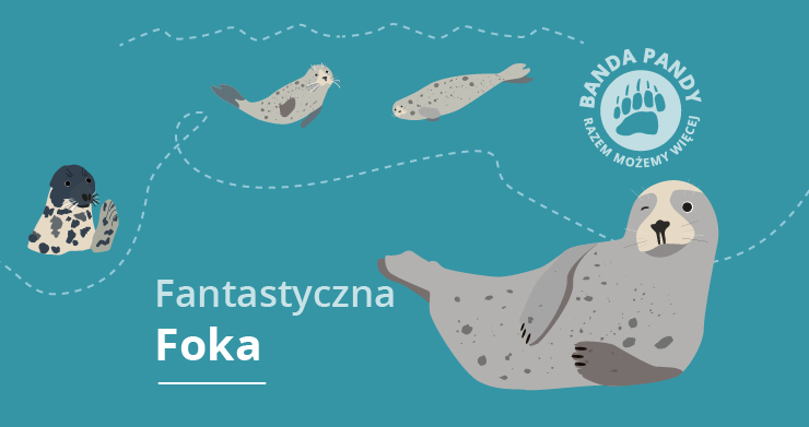 Adoptuj Fantastyczną Fokę