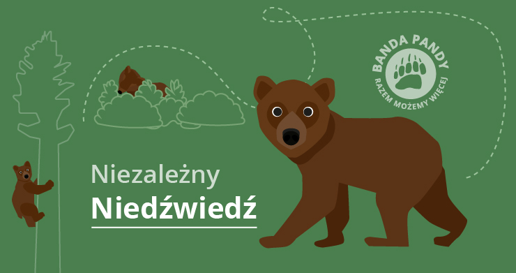 Adoptuj Niezależnego Niedźwiedzia