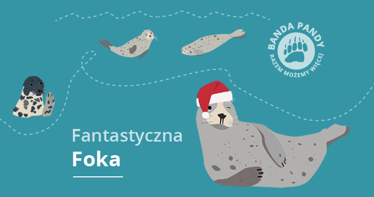 Adoptuj Fantastyczną Fokę