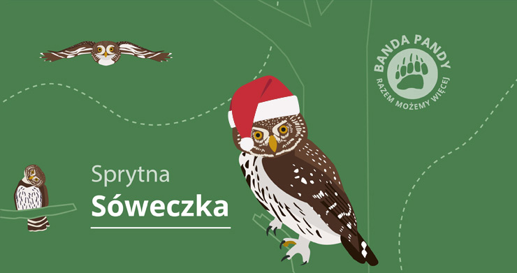 Adoptuj Sprytną Sóweczkę