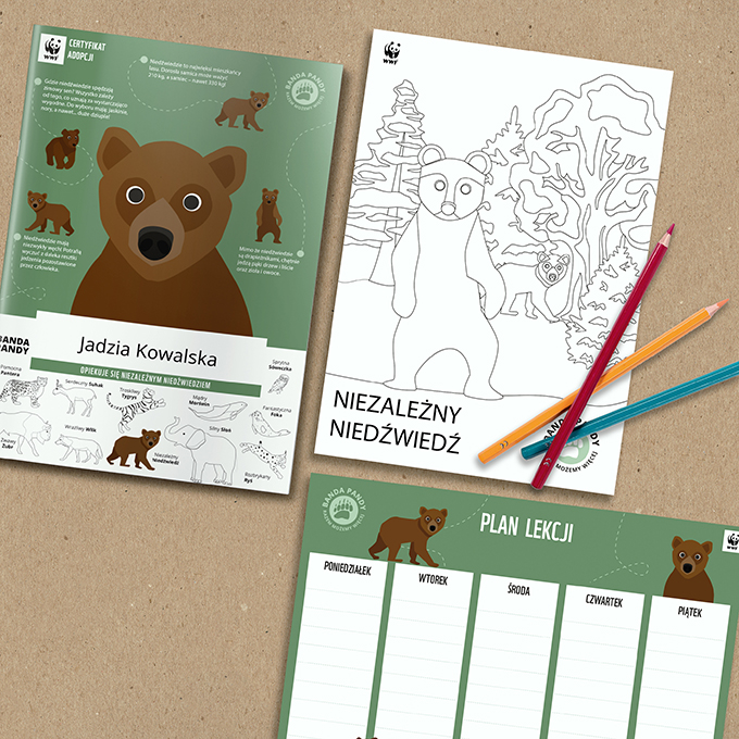 Certyfikat adopcji Niezależnego Niedźwiedzia, plan lekcji z niedźwiedziem, kolorowanka z niedźwiedziem