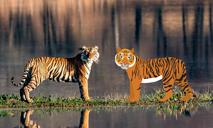 Tygrysy stoją nad wodą