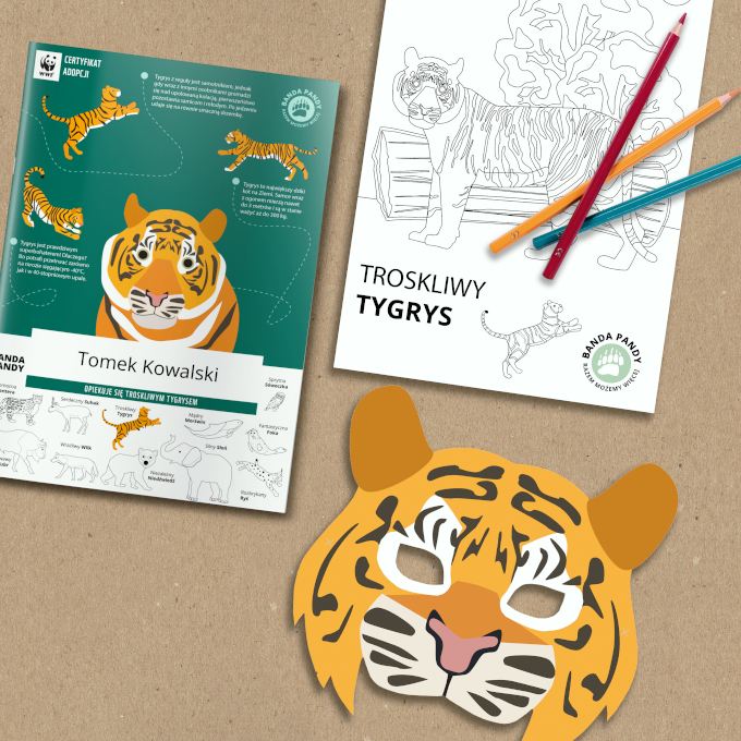 Certyfikat adopcji Troskliwego Tygrysa, maska tygrysa i kolorowanka z tygrysem