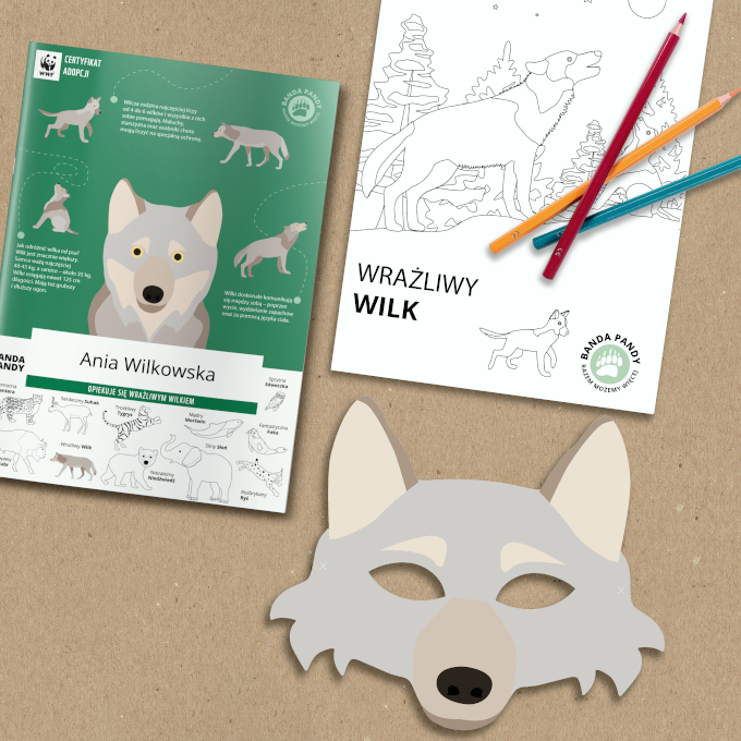 Certyfikat adopcji Wrażliwego Wilka, maska wilka i kolorowanka z wilkiem